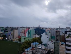 Male City 