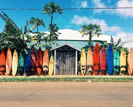 Bunte Surfboards an einer Mauer 