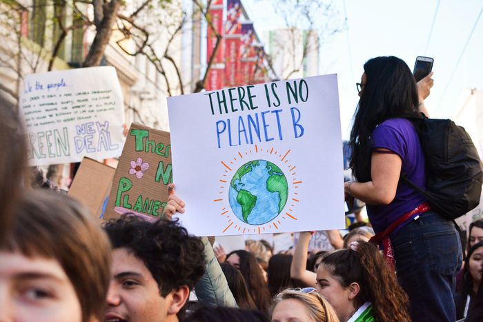 Protestplakat Fridays for Future