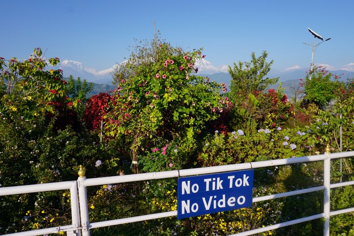 TikTok- und Videoverbot an der Weltfriedenspagode in Pokhara, Nepal, da Social-Media-Aufnahmen vor der Bergkulisse die Gebetsruhe stören. TikTok- und Videoverbot an der Weltfriedenspagode in Pokhara, Nepal, da Social-Media-Aufnahmen vor der Bergkulisse die Gebetsruhe stören.