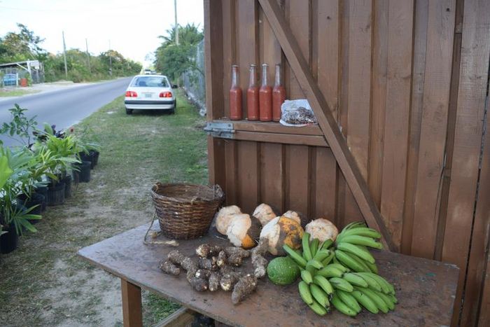 Erntestand auf den Bahamas 